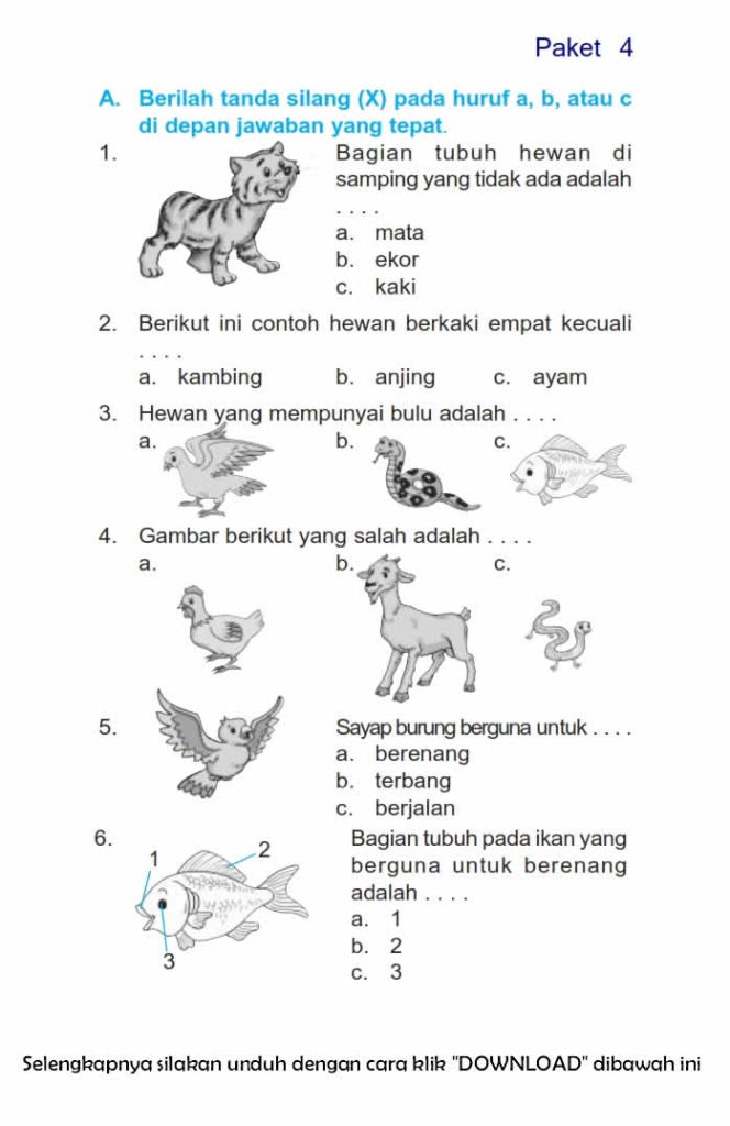 10 Rahasia Belajar Cepat dengan Contoh Soal Bahasa Indonesia Kelas 3 Bergambar Semester 2
